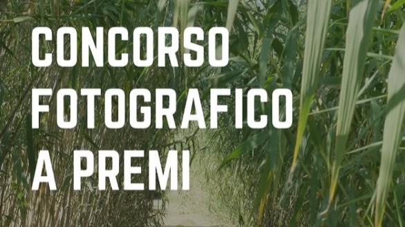 PROFONDITA' DI CAMPO promosso dal progetto Can.A.L.I. WEB 